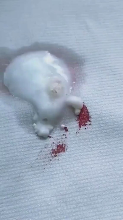 SimpleSelect.pk® Clothing Oil Stain Remover Fast Dissolve Oil Stains Strong Stain Removers Suitable for Down Jackets and T-shirts Environmentally